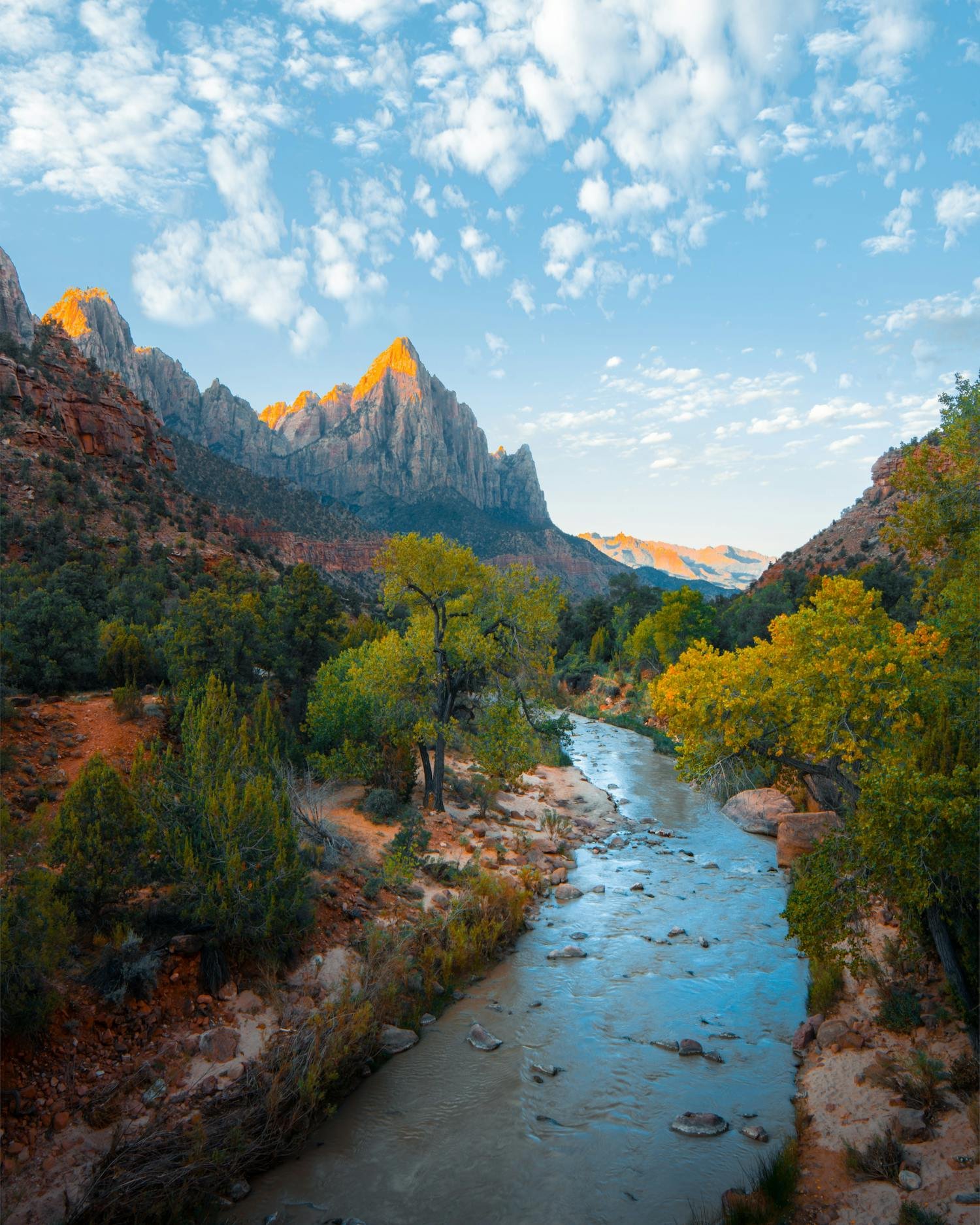 Recovered file: nature-042.jpg