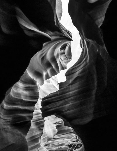 Recovered file: nliadiotdg-e1722450081872-400x516.jpg