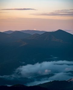 Recovered file: pexels-photo-16881835-242x300.jpeg