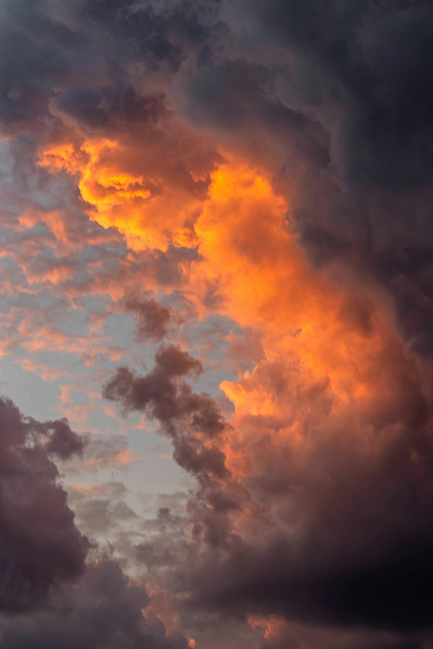 Recovered file: nature-046.jpg
