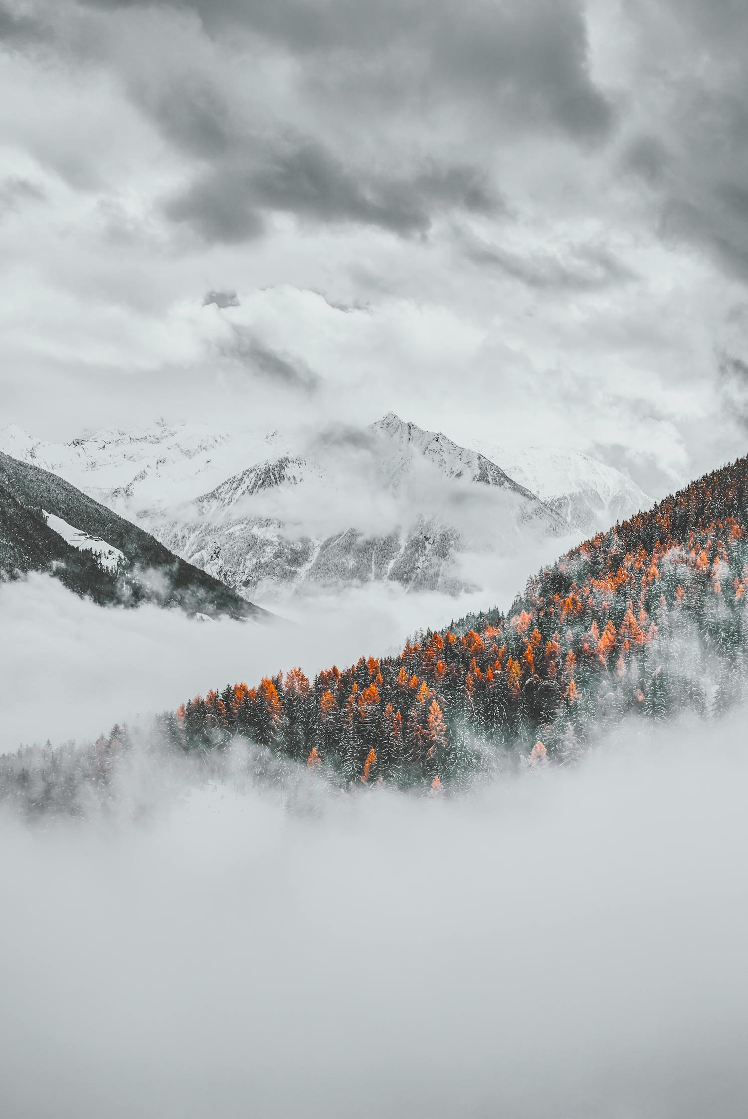 Recovered file: nature-044.jpg