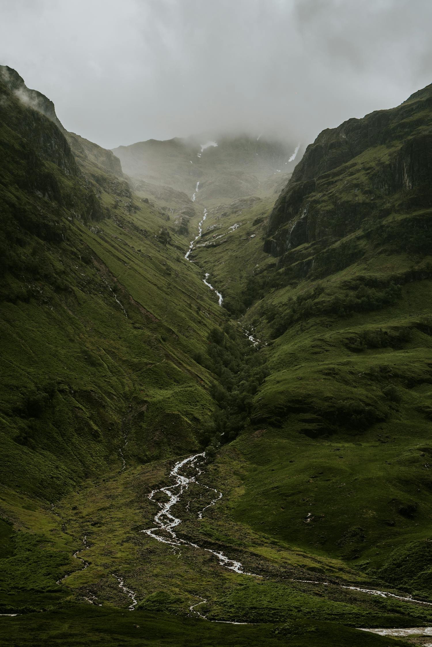Recovered file: nature-055.jpg