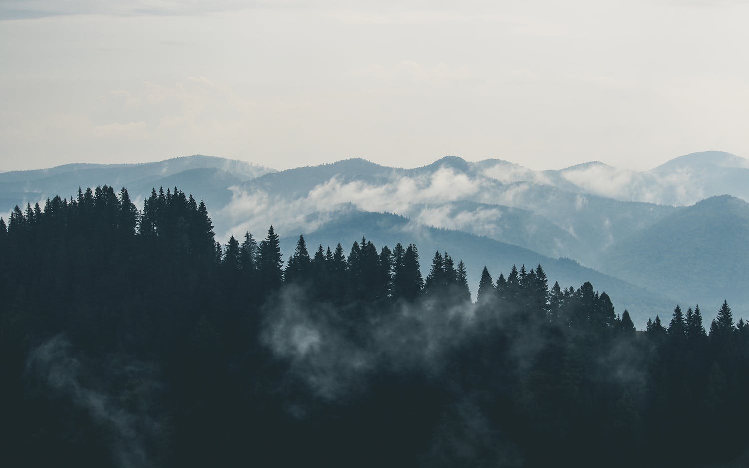 Recovered file: nature-074.jpg