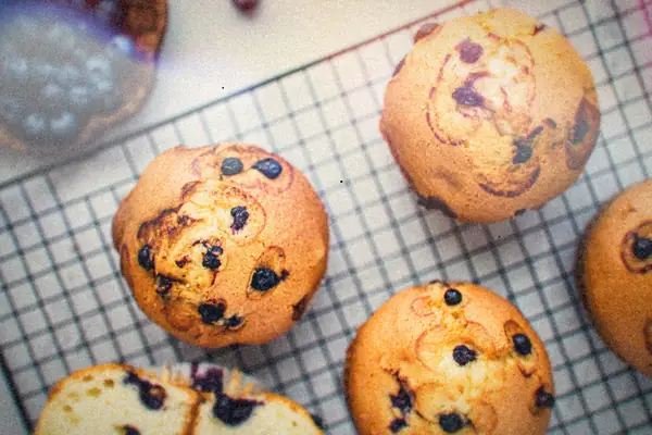 Blueberry muffins cooling on a wire rack next to a bowl of fresh blueberries.