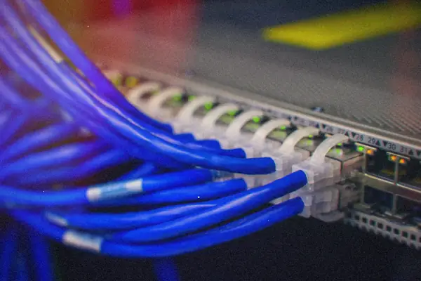 Blue ethernet cables plugged into a row of network switch ports.