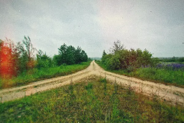 A dirt road splitting into two paths through green countryside under an overcast sky.