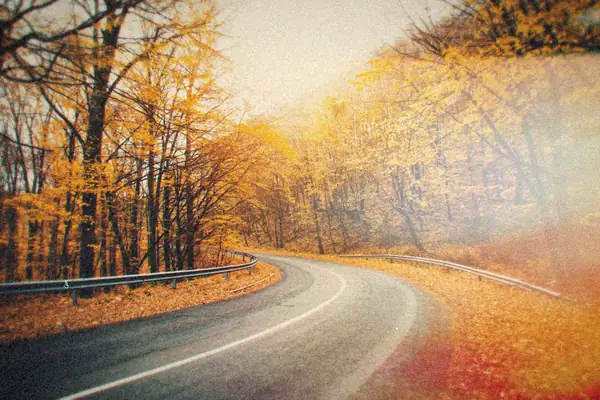 A two-lane road curving through golden autumn woods in late-day light.