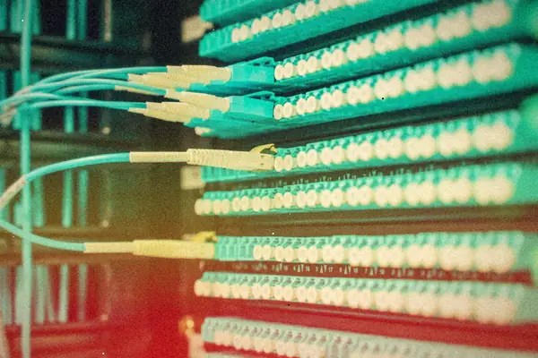 Teal fiber patch cables plugged into rows of ports on a patch panel.