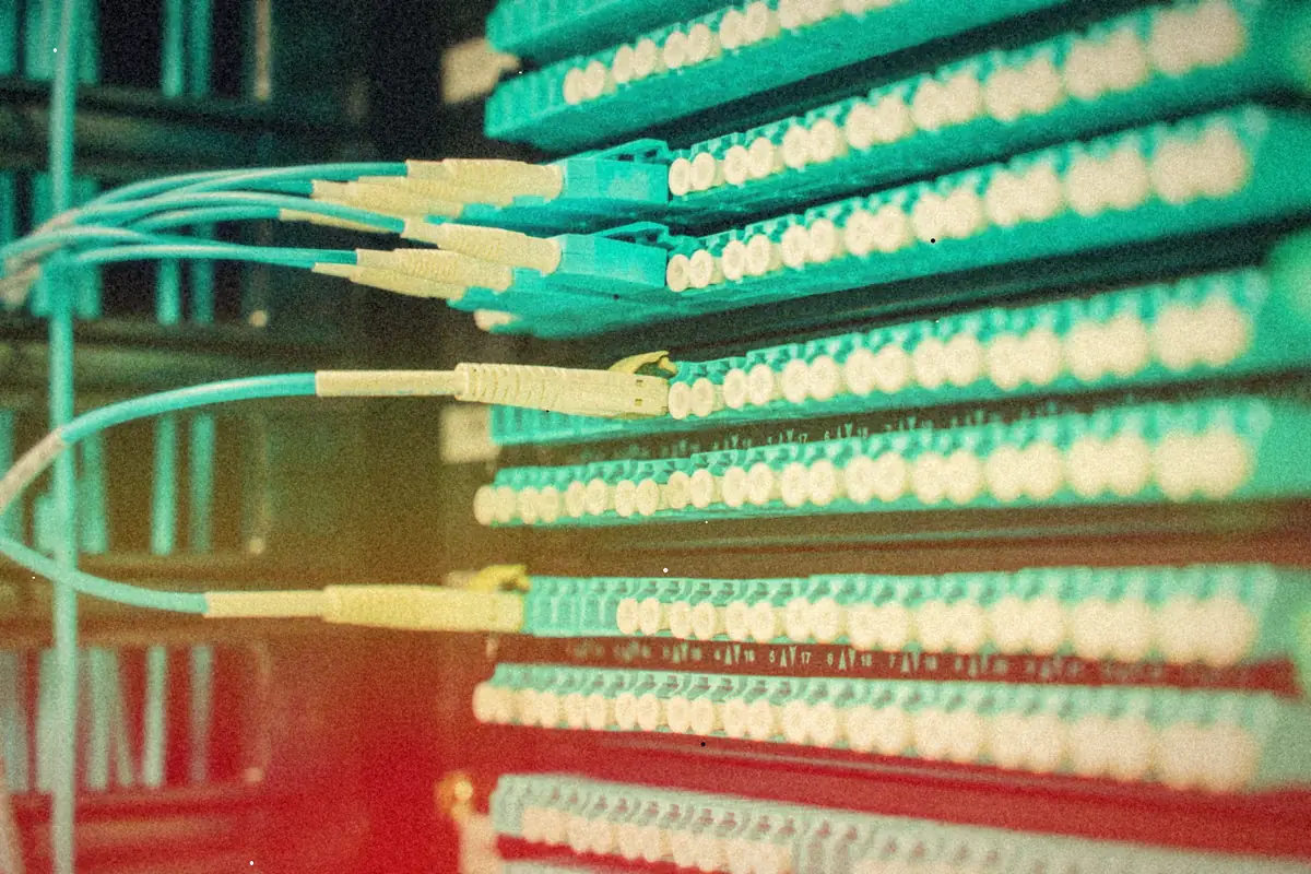 Teal fiber patch cables plugged into rows of ports on a patch panel.