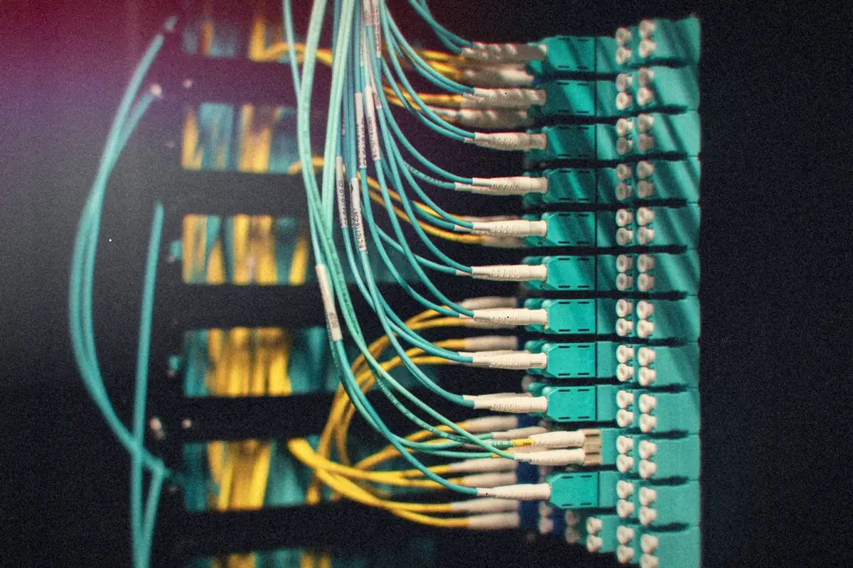 Rows of fiber patch cables plugged into a panel in a dark equipment rack.