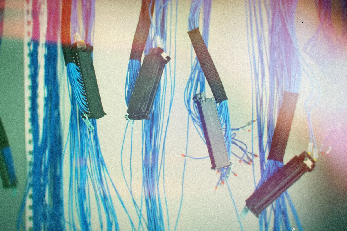 Bundles of blue network cable hang down with their connectors in a server room.