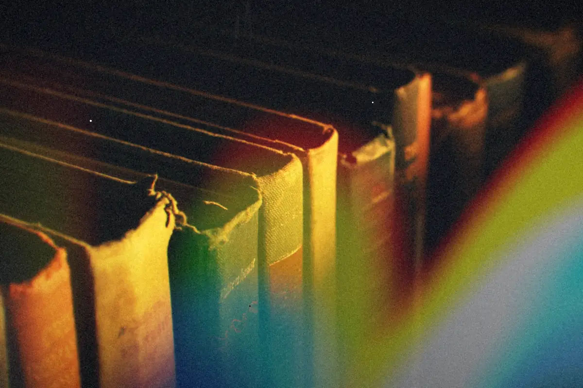 A row of old hardback books with worn spines lit by warm sunlight.