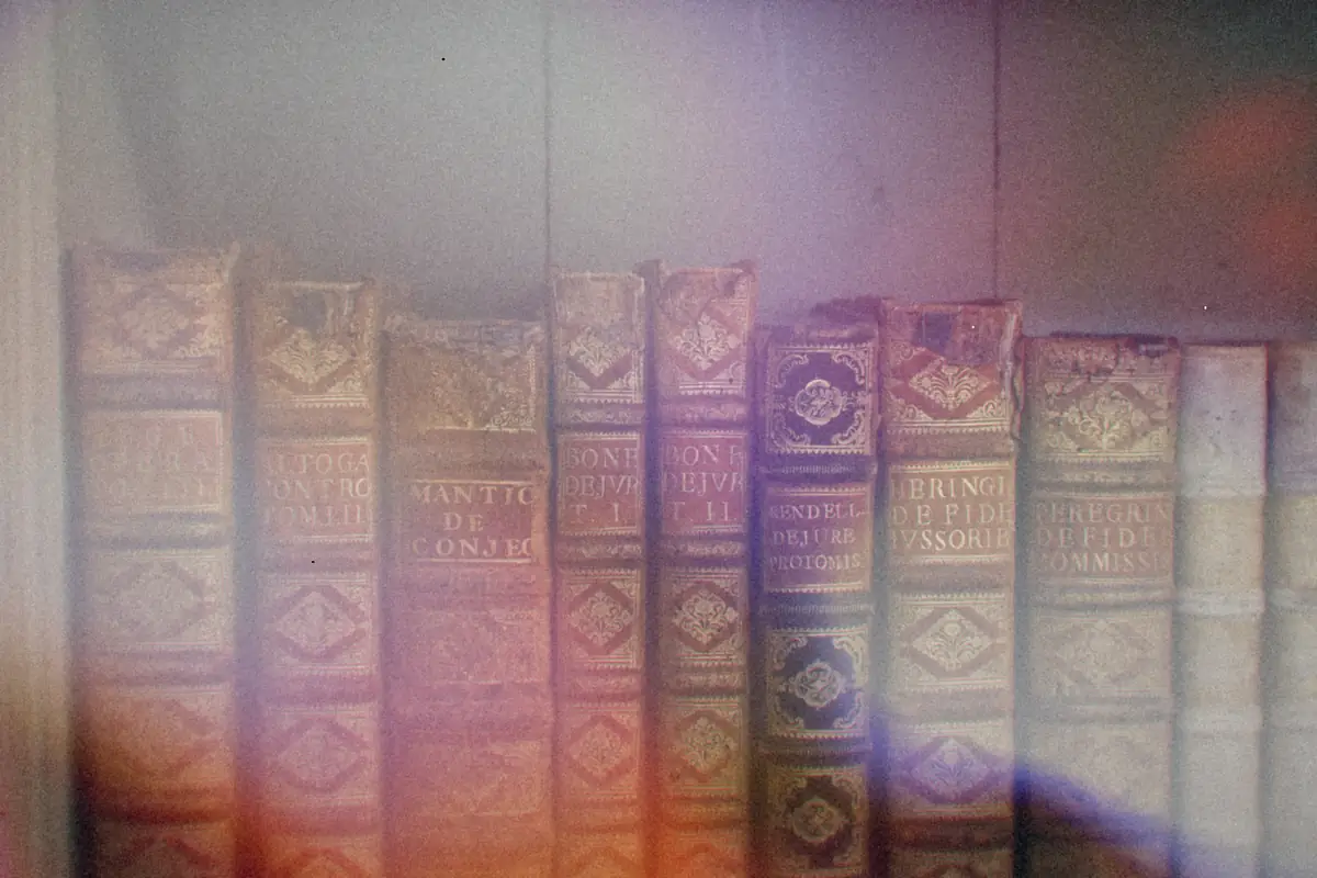 A row of antique leather-bound books with gold-tooled spines on a shelf.